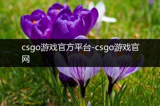 csgo游戏官方平台-csgo游戏官网