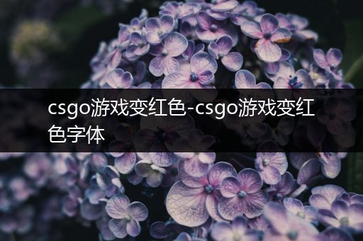 csgo游戏变红色-csgo游戏变红色字体