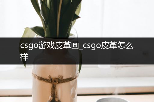 csgo游戏皮革画_csgo皮革怎么样