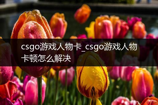 csgo游戏人物卡_csgo游戏人物卡顿怎么解决