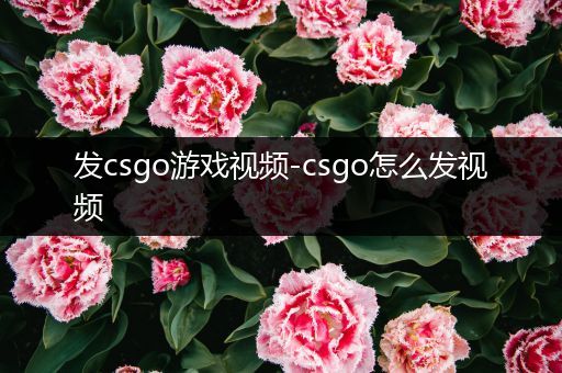 发csgo游戏视频-csgo怎么发视频