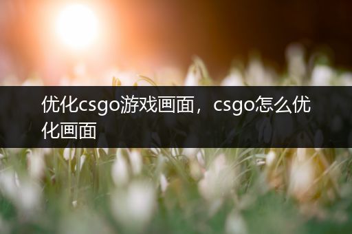 优化csgo游戏画面，csgo怎么优化画面