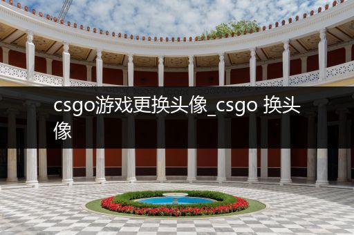 csgo游戏更换头像_csgo 换头像