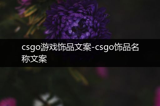 csgo游戏饰品文案-csgo饰品名称文案