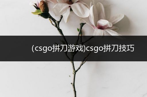 （csgo拼刀游戏)csgo拼刀技巧