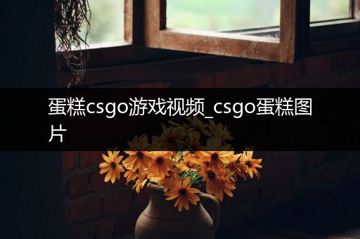 蛋糕csgo游戏视频_csgo蛋糕图片