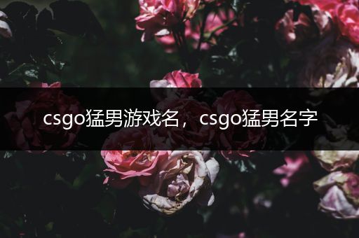 csgo猛男游戏名，csgo猛男名字