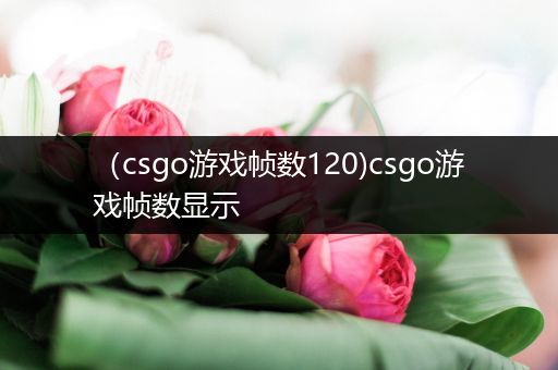 （csgo游戏帧数120)csgo游戏帧数显示