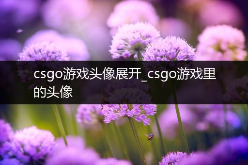 csgo游戏头像展开_csgo游戏里的头像