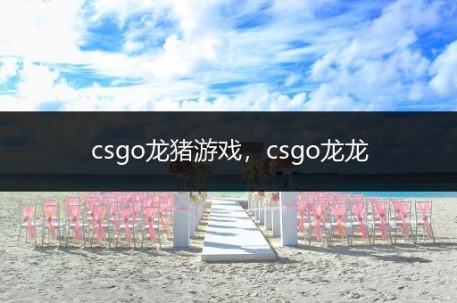 csgo龙猪游戏，csgo龙龙