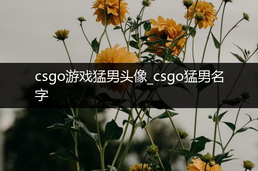 csgo游戏猛男头像_csgo猛男名字