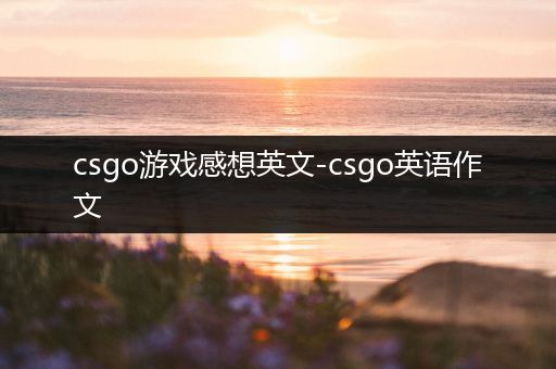 csgo游戏感想英文-csgo英语作文