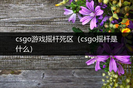 csgo游戏摇杆死区（csgo摇杆是什么）