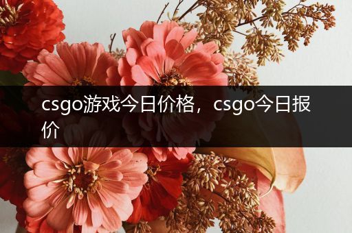 csgo游戏今日价格，csgo今日报价