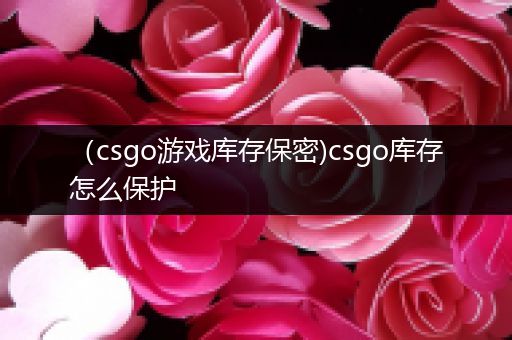 （csgo游戏库存保密)csgo库存怎么保护