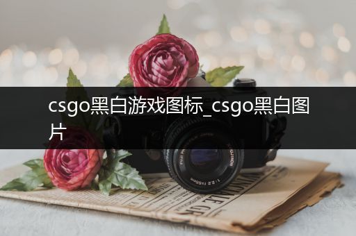 csgo黑白游戏图标_csgo黑白图片