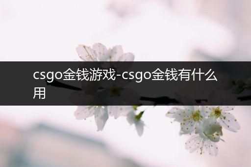 csgo金钱游戏-csgo金钱有什么用