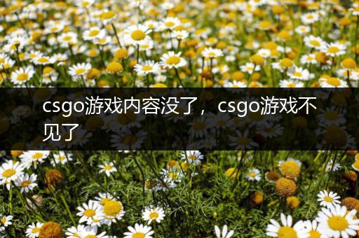 csgo游戏内容没了，csgo游戏不见了