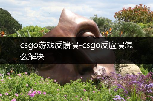 csgo游戏反馈慢-csgo反应慢怎么解决