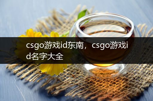 csgo游戏id东南，csgo游戏id名字大全