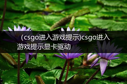 （csgo进入游戏提示)csgo进入游戏提示显卡驱动