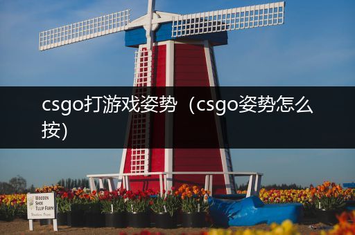 csgo打游戏姿势（csgo姿势怎么按）