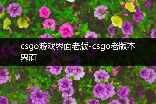 csgo游戏界面老版-csgo老版本界面