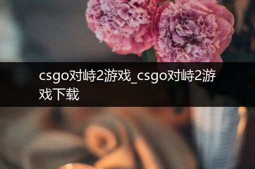 csgo对峙2游戏_csgo对峙2游戏下载