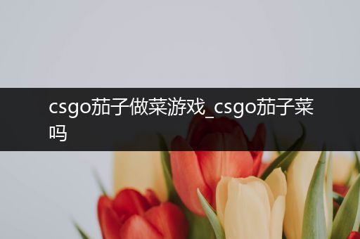 csgo茄子做菜游戏_csgo茄子菜吗