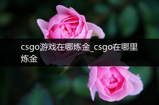 csgo游戏在哪炼金_csgo在哪里炼金