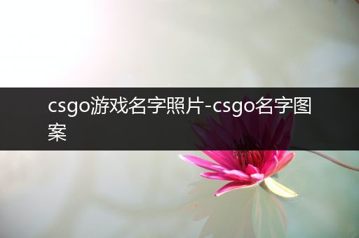 csgo游戏名字照片-csgo名字图案