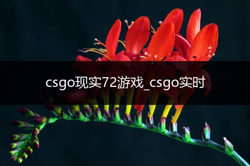 csgo现实72游戏_csgo实时