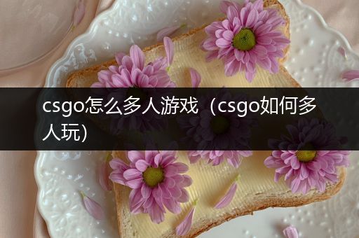 csgo怎么多人游戏（csgo如何多人玩）