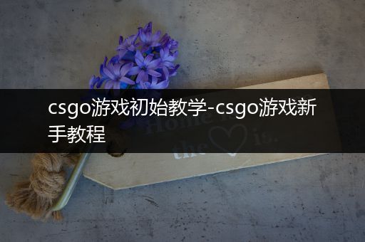 csgo游戏初始教学-csgo游戏新手教程