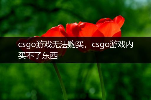 csgo游戏无法购买，csgo游戏内买不了东西