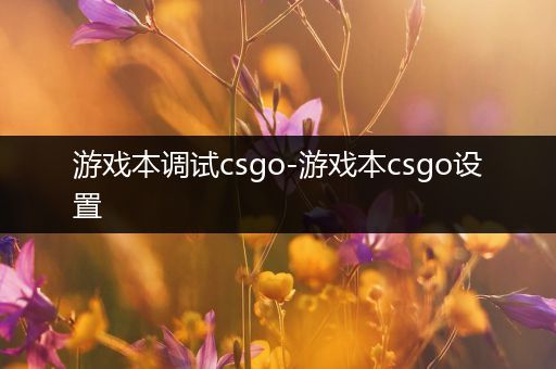 游戏本调试csgo-游戏本csgo设置