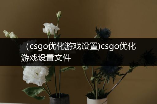 （csgo优化游戏设置)csgo优化游戏设置文件