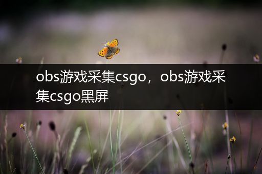 obs游戏采集csgo，obs游戏采集csgo黑屏