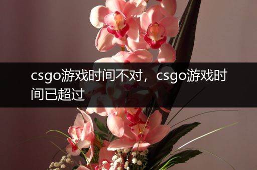 csgo游戏时间不对，csgo游戏时间已超过