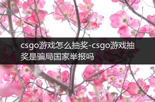 csgo游戏怎么抽奖-csgo游戏抽奖是骗局国家举报吗