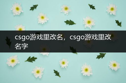 csgo游戏里改名，csgo游戏里改名字