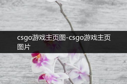 csgo游戏主页图-csgo游戏主页图片