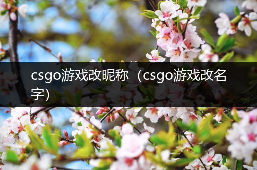 csgo游戏改昵称（csgo游戏改名字）