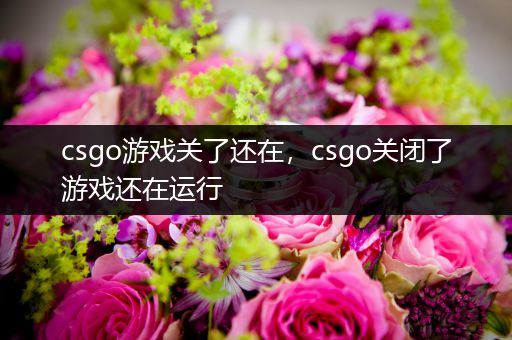 csgo游戏关了还在，csgo关闭了游戏还在运行