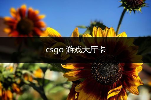csgo 游戏大厅卡