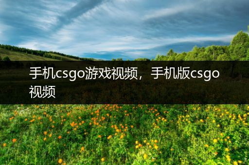 手机csgo游戏视频，手机版csgo视频