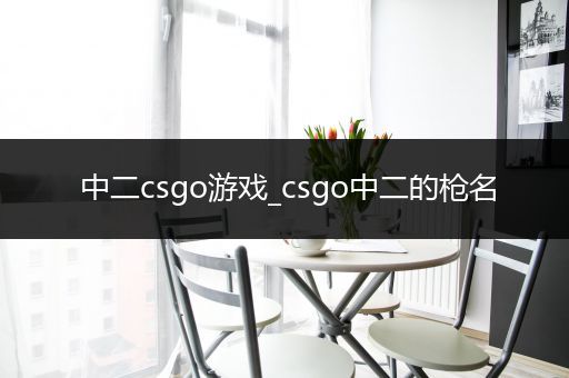 中二csgo游戏_csgo中二的枪名