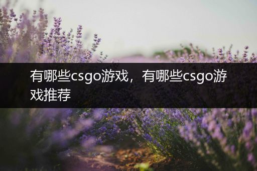 有哪些csgo游戏，有哪些csgo游戏推荐