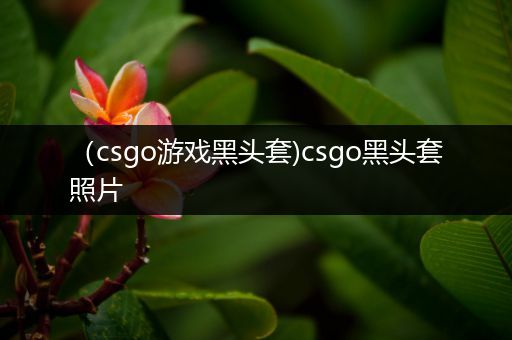 （csgo游戏黑头套)csgo黑头套照片