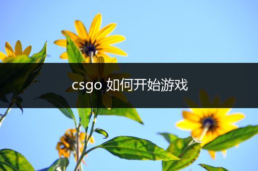 csgo 如何开始游戏